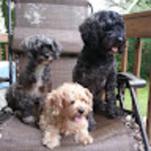 Meet your Posher, Maddie